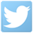 Twitter Icon